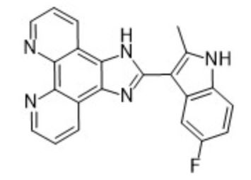 APTO253 (APTO-253, LOR253; LOR-253) APTO253 (APTO-253, LOR253; LOR-253)