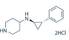 GSK-LSD1 2HCl GSK-LSD1 2HCl