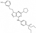 PF-562771 (PF562771, PF 562771)