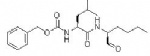 Calpeptin