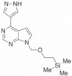 INCB032304 (INCB-032304, INCB 032304)